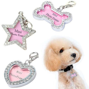 Personalized Pet ID Collar Tag